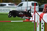 Royal Canin Masters 2025 geldrop