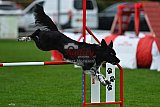 Royal Canin Masters 2025 geldrop