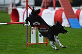 Royal Canin Masters 2025 geldrop