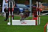 Royal Canin Masters 2025 geldrop