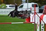 Royal Canin Masters 2025 geldrop