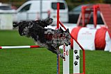 Royal Canin Masters 2025 geldrop