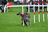 Royal Canin Masters 2025 geldrop