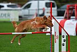 Royal Canin Masters 2025 geldrop