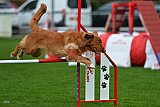 Royal Canin Masters 2025 geldrop