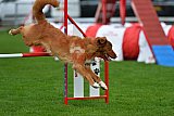 Royal Canin Masters 2025 geldrop