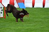 Royal Canin Masters 2025 geldrop