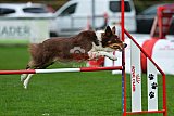 Royal Canin Masters 2025 geldrop