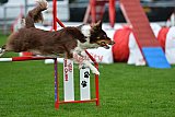 Royal Canin Masters 2025 geldrop