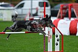 Royal Canin Masters 2025 geldrop