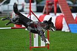 Royal Canin Masters 2025 geldrop