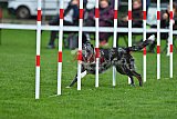 Royal Canin Masters 2025 geldrop