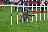 Royal Canin Masters 2025 geldrop