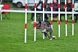 Royal Canin Masters 2025 geldrop