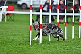Royal Canin Masters 2025 geldrop
