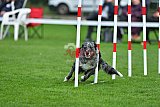 Royal Canin Masters 2025 geldrop