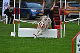 Royal Canin Masters 2025 geldrop