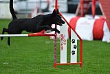 Royal Canin Masters 2025 geldrop