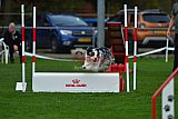Royal Canin Masters 2025 geldrop