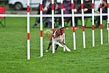 Royal Canin Masters 2025 geldrop