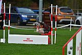 Royal Canin Masters 2025 geldrop