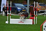 Royal Canin Masters 2025 geldrop