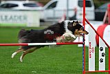 Royal Canin Masters 2025 geldrop