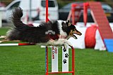 Royal Canin Masters 2025 geldrop