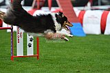 Royal Canin Masters 2025 geldrop