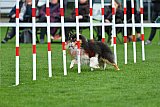 Royal Canin Masters 2025 geldrop