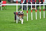 Royal Canin Masters 2025 geldrop