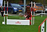 Royal Canin Masters 2025 geldrop