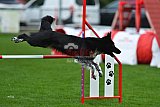 Royal Canin Masters 2025 geldrop