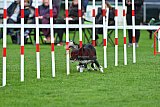 Royal Canin Masters 2025 geldrop