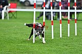 Royal Canin Masters 2025 geldrop