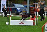 Royal Canin Masters 2025 geldrop