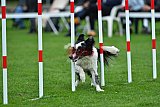 Royal Canin Masters 2025 geldrop