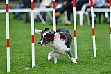 Royal Canin Masters 2025 geldrop