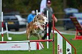Royal Canin Masters 2025 geldrop
