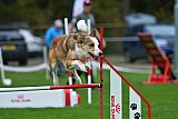 Royal Canin Masters 2025 geldrop