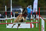 Royal Canin Masters 2025 geldrop