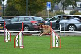 Royal Canin Masters 2025 geldrop