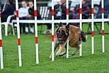 Royal Canin Masters 2025 geldrop