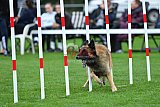 Royal Canin Masters 2025 geldrop