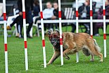 Royal Canin Masters 2025 geldrop