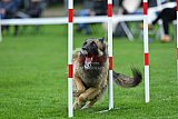 Royal Canin Masters 2025 geldrop