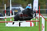 Royal Canin Masters 2025 geldrop