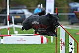 Royal Canin Masters 2025 geldrop