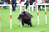 Royal Canin Masters 2025 geldrop