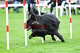 Royal Canin Masters 2025 geldrop
